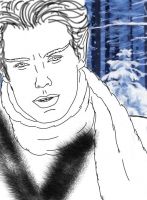 Winter Walk